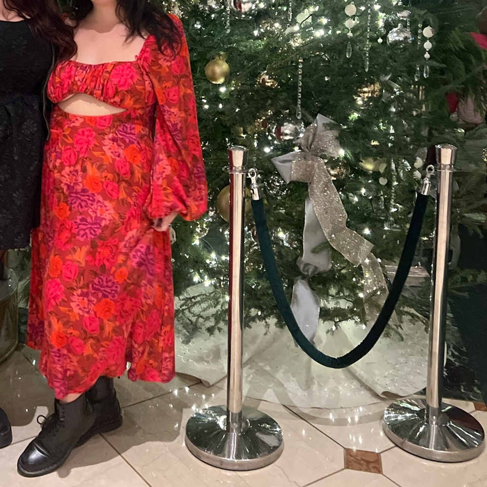 2X For Love and Lemons dress